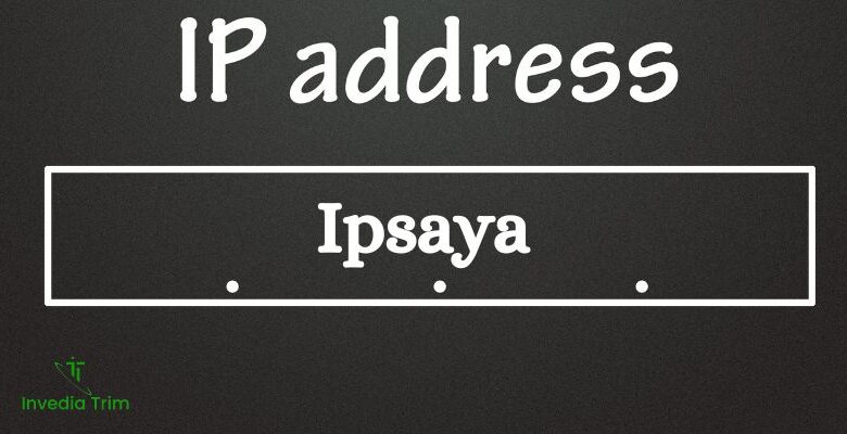 How to Check the IP Address with IPSaya