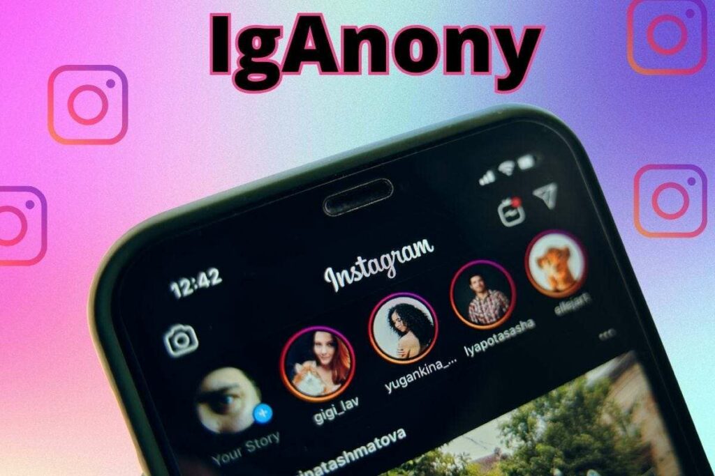 Navigating IgAnony