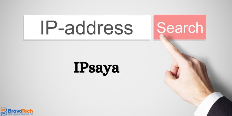 What are the Features of the IPSaya Website